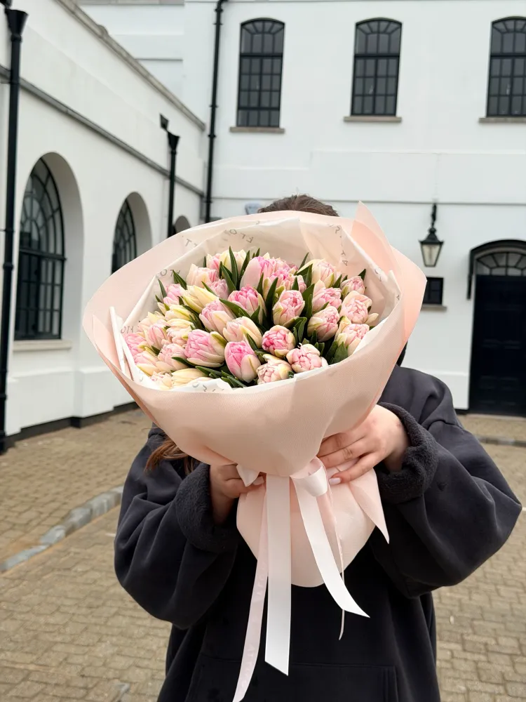 Blush tulip poetry (40 pink tulips)