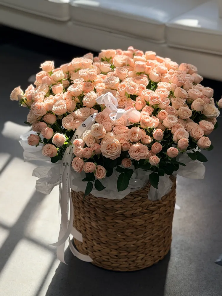 Cream tea garden (spray rose)