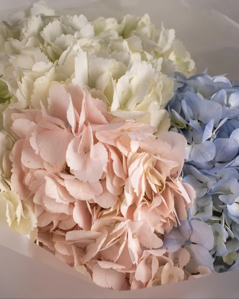 Soft pastel hydrangea bouquet