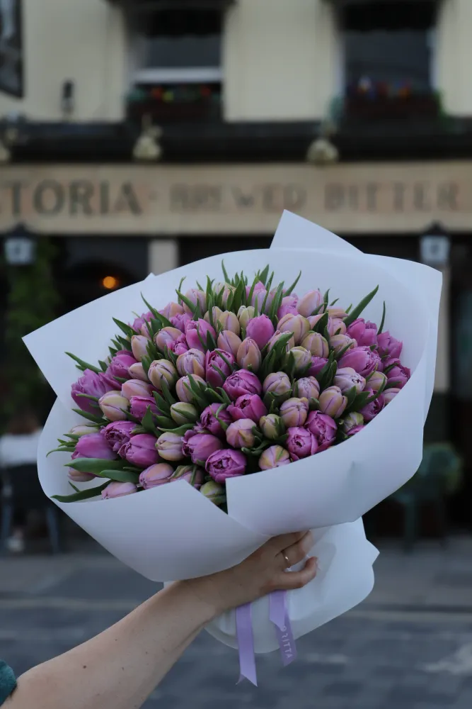 100 purple peony tulips