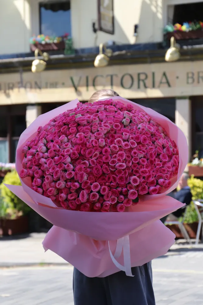 Fuchsia london sonnet (180 pink spray roses)