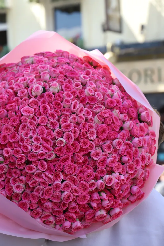 Fuchsia london sonnet (180 pink spray roses)