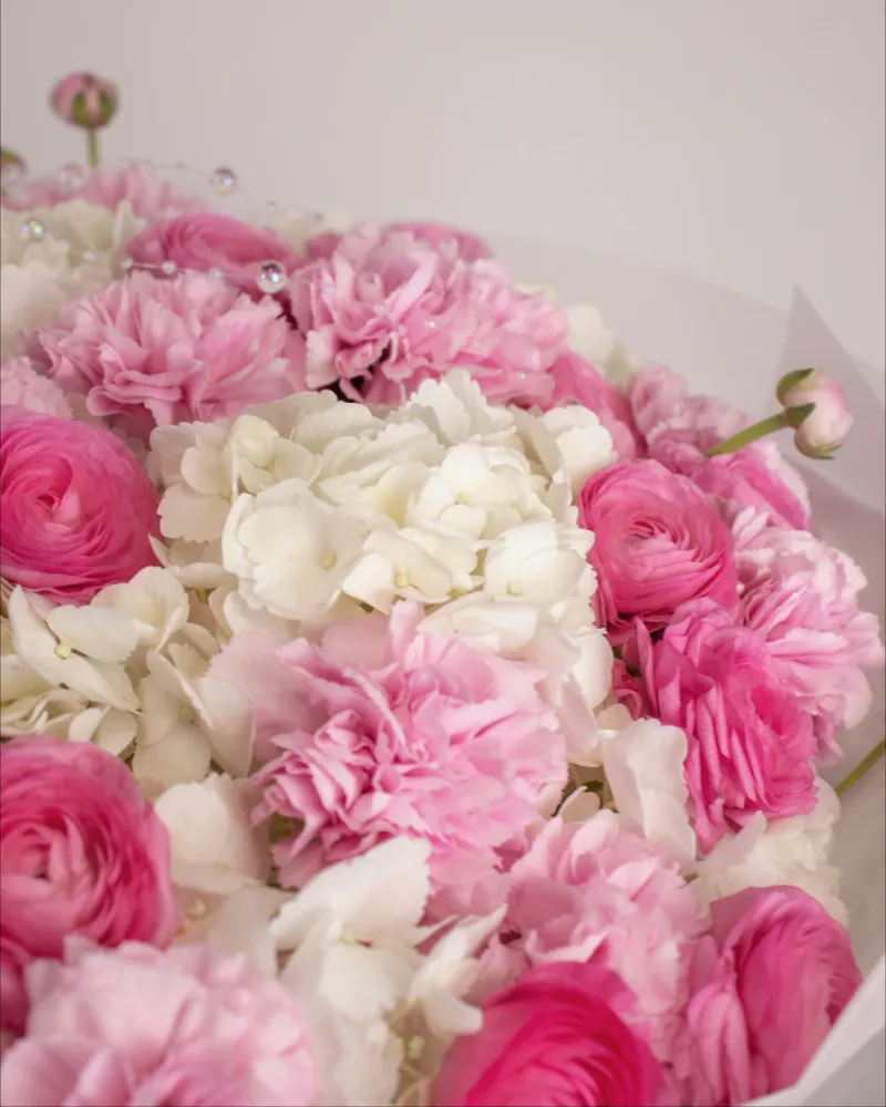 Adoration in bloom (hydrangeas, dianthus & ranunculus)