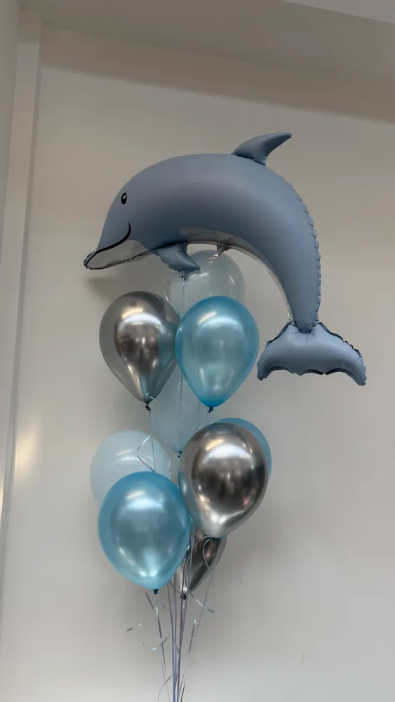 Little dolphin cluster (11 balloon helium inflated)