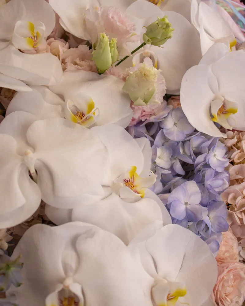 Whisper of romance grand basket